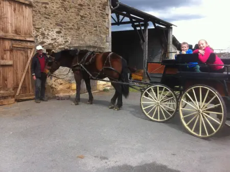 Gîte Naturel au Périgord Limousin, Animaux Admis, Wi-Fi Gratuit - Photo 15