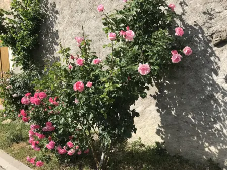 Gîte rénové avec jardin, proche loisirs et commerces, à une heure de Nancy et Metz - Photo 20