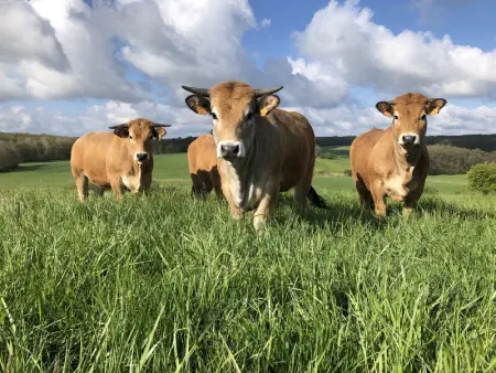 Gîte rénové avec jardin, proche loisirs et commerces, à une heure de Nancy et Metz - Photo 22