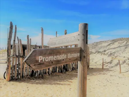 Villa patio avec piscine, à 400m des commerces et 6km de plage - Animaux admis - Photo 14