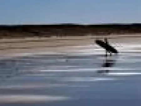 Appartement cosy à 300m de l'océan au cœur de la station - Balcon et parking sécurisé - Photo 21