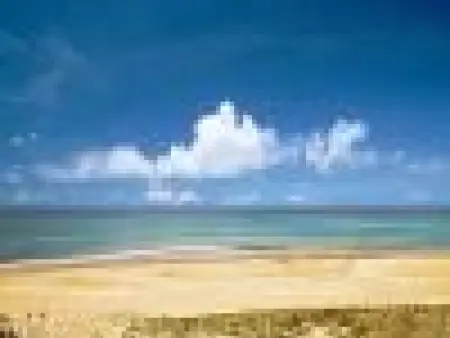 Appartement cosy à 300m de l'océan au cœur de la station - Balcon et parking sécurisé - Photo 25