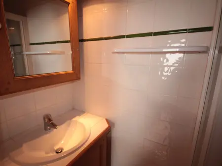 Appartement 4 pièces mezzanine avec balcon, équipements complets, animaux admis, parking couvert. - Photo 11