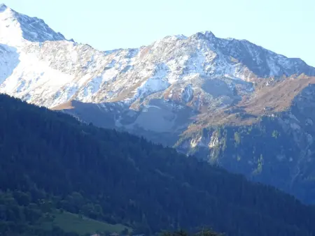 Studio 4 pers avec balcon à Bourg Saint Maurice, proche centre et commerces - animaux acceptés - Photo 3