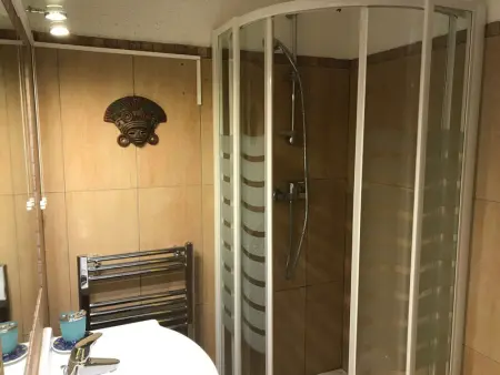 Duplex cosy 6 pers, skis aux pieds, balcon, animaux admis - Photo 3