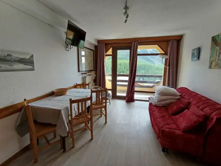 Studio exposé sud avec balcon, à 200m des pistes et commerces, animaux acceptés - Photo 1