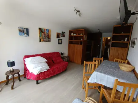 Studio exposé sud avec balcon, à 200m des pistes et commerces, animaux acceptés - Photo 2