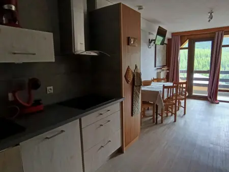 Studio exposé sud avec balcon, à 200m des pistes et commerces, animaux acceptés - Photo 8