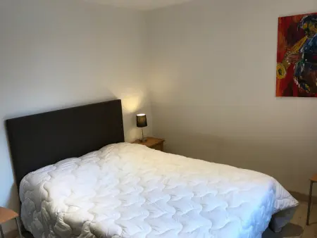 Bel appartement 6 pers, terrasse plein sud, animaux admis, parking garage privé - Photo 6