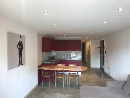 Bel appartement 6 pers, terrasse plein sud, animaux admis, parking garage privé - Photo 10