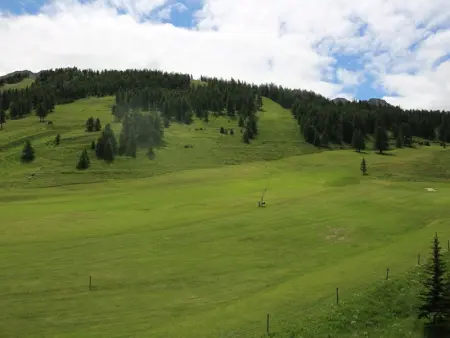 Studio avec coin montagne pour 4 pers, skis aux pieds - Photo 9
