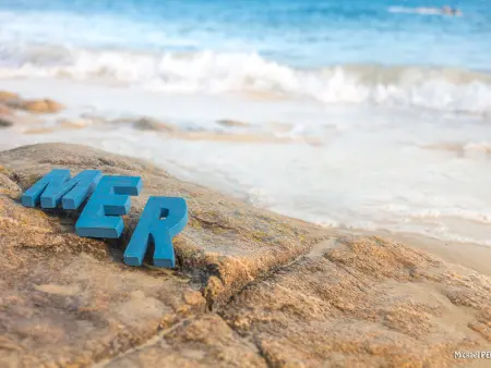 Spacieux studio terrasse, mer à 700m commerces, parking privé, Wi-Fi inclu - Photo 21