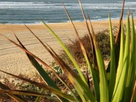 Appartement Rénové avec Balcon, Proche Plage et Marché – 4 Pers, Calme & Confort à Seignosse - Photo 15