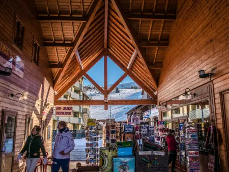 Chalet 3 pièces 7 pers, parking, animaux admis, Chalet 7 personnes à La Joue du Loup - Photo 18