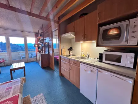 Appartement 2 pièces avec balcon au pied des pistes à Villard-de-Lans - Photo 3