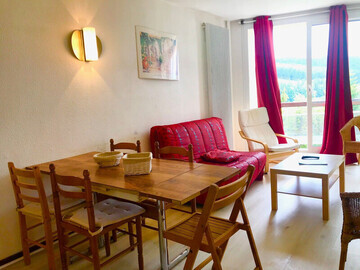 Location Apartment in Villard de Lans,Appartement 43m² pied des pistes avec parking et WIFI FR-1-515-40 N°881444