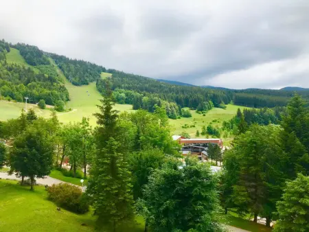 Appartement 43m² pied des pistes avec parking et WIFI - Photo 10