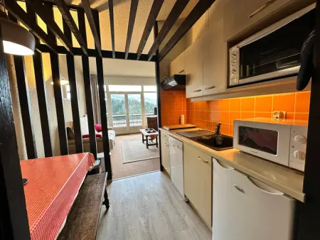 Studio cabine avec terrasse sud et parking à Villard-de-Lans, proche pistes et randonnées - Photo 4