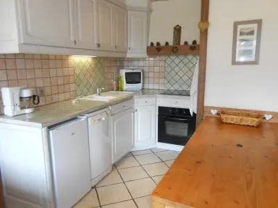 Appartement à Les Deux Alpes, Très bel appartement duplex spacieux - 8 pers, animaux admis - L881505