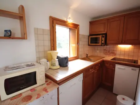 Les Saisies - Charmant 2 Pièces 4 Pers avec Balcon, Proche Montagnes - Photo 5