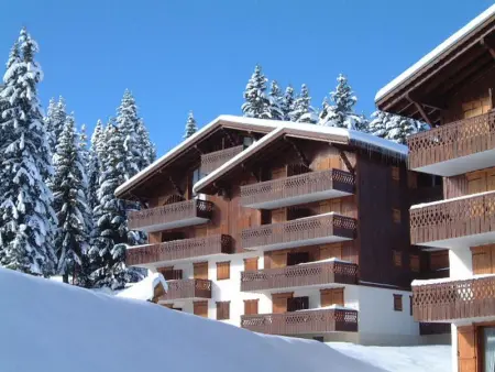 Les Saisies - Charmant 2 Pièces 4 Pers avec Balcon, Proche Montagnes - Photo 11