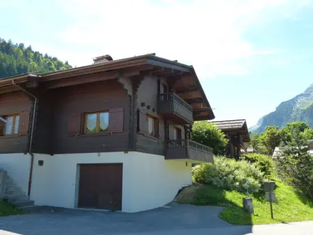 Chalet 10-11 pers, 3*, familles, cheminée, garage, WIFI, près des pistes, navette 30m - Photo 1