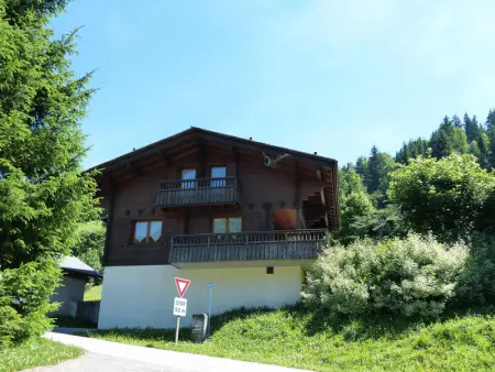 Chalet 10-11 pers, 3*, familles, cheminée, garage, WIFI, près des pistes, navette 30m - Photo 17