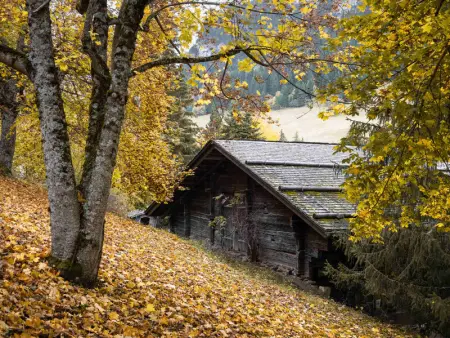 Chalet 3*, ferme rénovée, 10 pers, proche pistes, garage, animaux admis - Photo 18