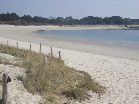 Maison 6 pers. avec accès direct plage à Ploemeur - Photo 19