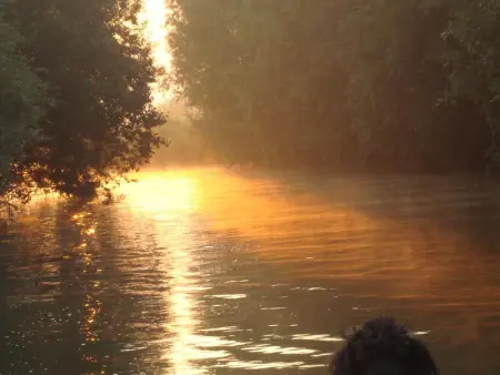 Gîte spacieux avec jardin, barque, et label tourisme handicap - Marais Audomarois - Photo 15
