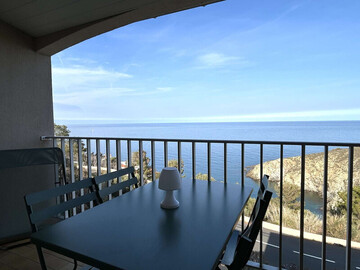 Location Appartement à Banyuls sur Mer,Appartement rénové avec vue mer, clim, terrasse, park, WIFI - 4 pers, Banyuls-sur-Mer FR-1-225C-500 N°1003208