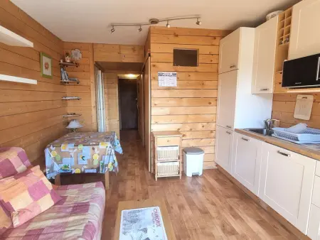 Studio 4/6 pers., Chaillol 1600, proche ski/rando, balcon S/O, TV, lave-vaisselle, animaux ok. - Photo 2