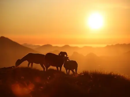 Appartement T2 cabine pour 6 pers, parking inclus, face aux télécabines - Photo 13