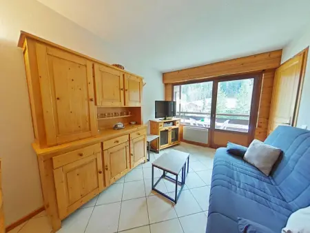 Appartement cosy 2 pièces, 6 couchages, animaux acceptés, casier à skis, centre proche - Photo 1