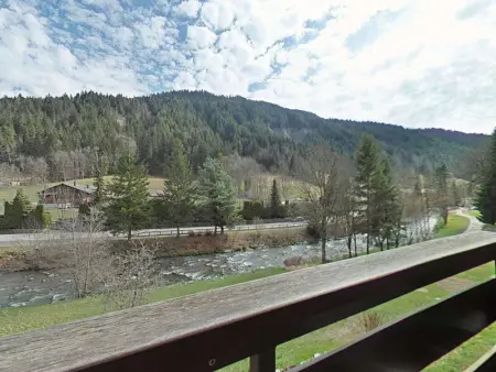 Appartement cosy 2 pièces, 6 couchages, animaux acceptés, casier à skis, centre proche - Photo 14