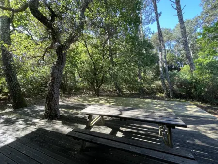 Villa 8 pers. Soustons proche lac, océan et golf, WiFi, animaux admis, parking - Photo 4