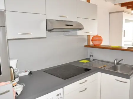 Appartement 3 étoiles à Perros-Guirec avec parking et animaux admis - Photo 4