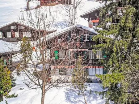 Chalet Spassvogel, Appartement 4 personnes à Grindelwald - Photo 1