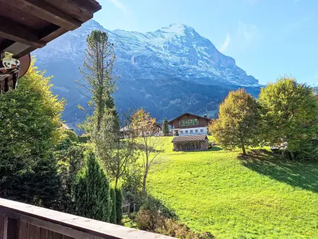 Chalet Spassvogel, Appartement 4 personnes à Grindelwald - Photo 17