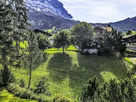 Chalet Spassvogel, Appartement 4 personnes à Grindelwald - Photo 21