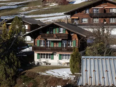 Chalet Spassvogel, Appartement 4 personnes à Grindelwald - Photo 23