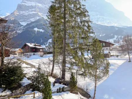 Chalet Spassvogel, Appartement 4 personnes à Grindelwald - Photo 26
