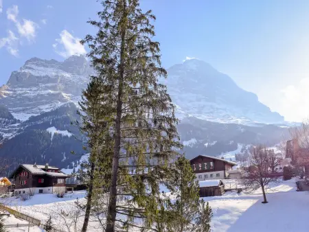 Chalet Spassvogel, Appartement 4 personnes à Grindelwald - Photo 27