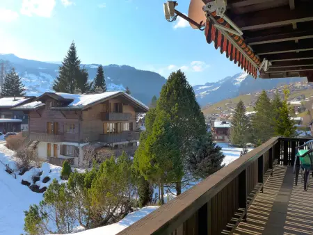 Chalet Spassvogel, Appartement 4 personnes à Grindelwald - Photo 28