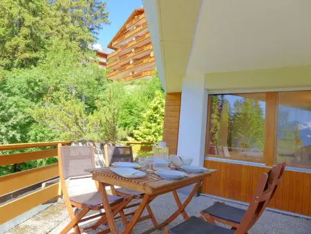 Terrasse Des Alpes 917, Appartement 6 personnes à Crans Montana - Photo 27