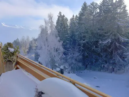 Terrasse Des Alpes 917, Appartement 6 personnes à Crans Montana - Photo 37
