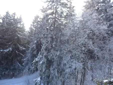 Terrasse Des Alpes 917, Appartement 6 personnes à Crans Montana - Photo 39