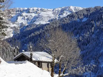 Chalet à Arêches Beaufort, Chalet 3 pièces, 6 pers, 2 km des pistes, plein sud, internet - L831529