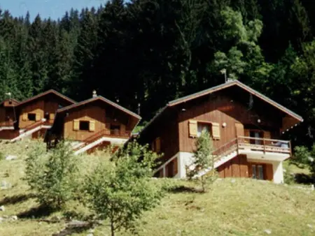 Appartement à Arêches Beaufort, T3 cosy avec cheminée, pour 4-5 pers., skis aux pieds, terrasse sud/ouest, calme à Arêches-Beaufort - L883278