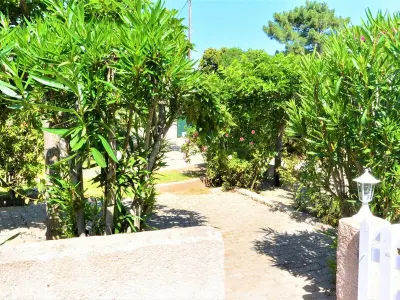 Maison à Sari Solenzara Favone, Mini-Villa Climatisée avec Accès Direct à la Plage - Grand Jardin Ombragé, Près de Favone - L831542